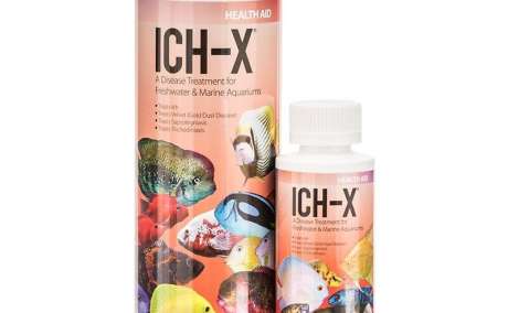 Hikari Ich-X Disease Freshwater Treatment